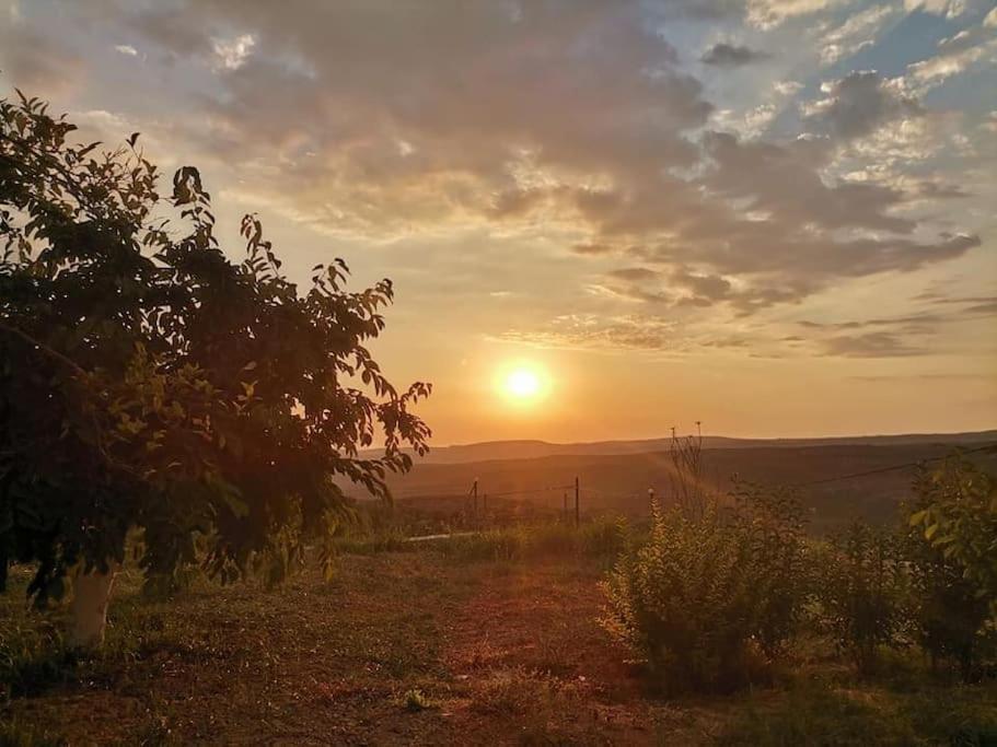 Dimitra'S Sunny Villa Mirsinochori エクステリア 写真